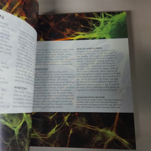 5/$10🎄BN The Concise Human Body book - Picture 7 of 7